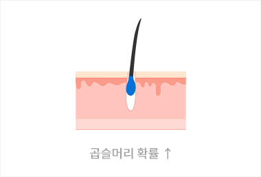 답변4